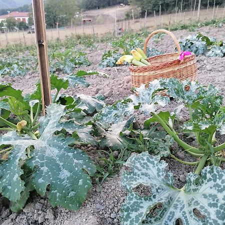 Agriturismo Dei Legi San Pietro Vara Kültér fotó