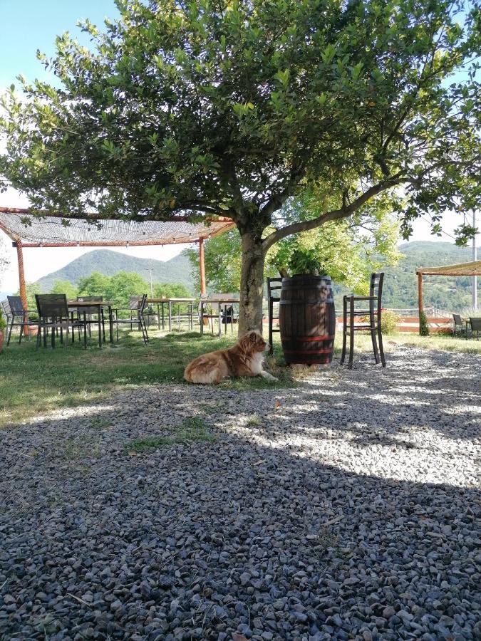 Agriturismo Dei Legi San Pietro Vara Kültér fotó