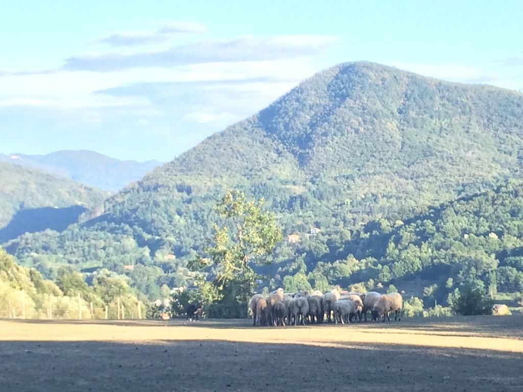 Agriturismo Dei Legi Villa San Pietro Vara Kültér fotó