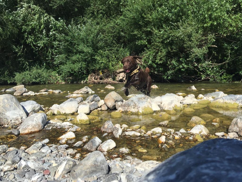 Agriturismo Dei Legi San Pietro Vara Kültér fotó