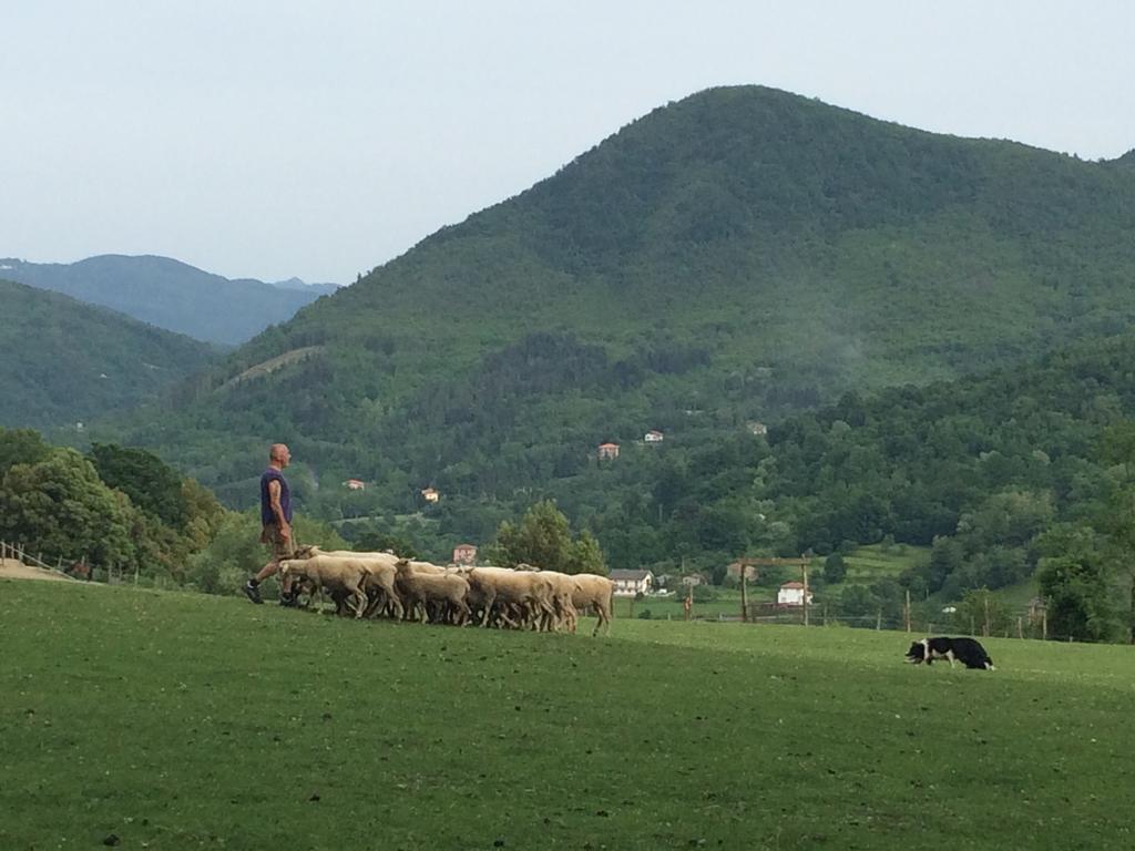 Agriturismo Dei Legi Villa San Pietro Vara Kültér fotó