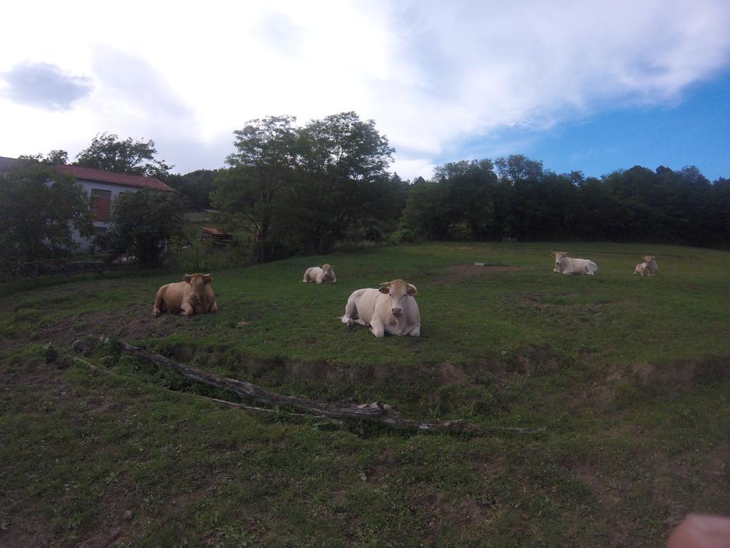 Agriturismo Dei Legi Villa San Pietro Vara Kültér fotó