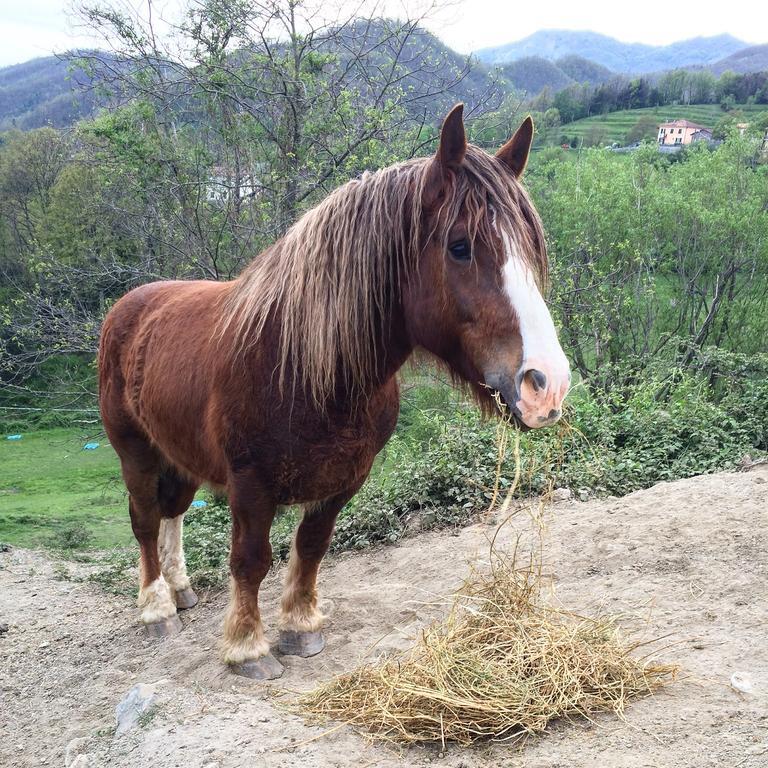 Agriturismo Dei Legi San Pietro Vara Kültér fotó