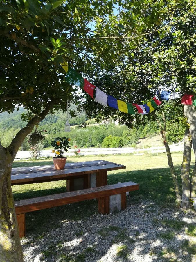 Agriturismo Dei Legi Villa San Pietro Vara Kültér fotó