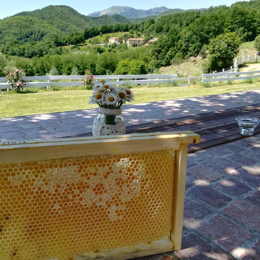 Agriturismo Dei Legi San Pietro Vara Kültér fotó