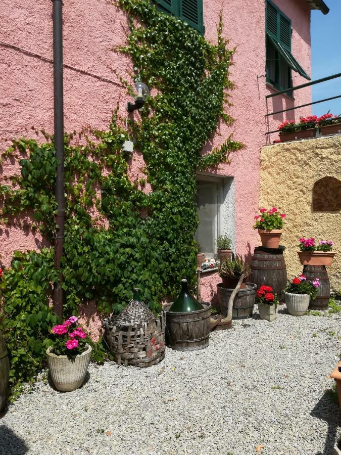 Agriturismo Dei Legi San Pietro Vara Kültér fotó