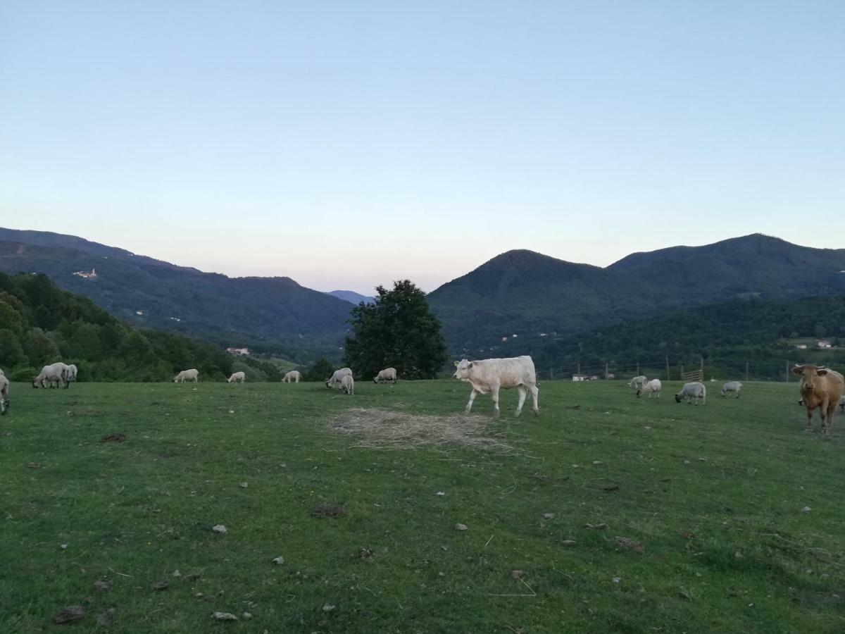 Agriturismo Dei Legi Villa San Pietro Vara Kültér fotó