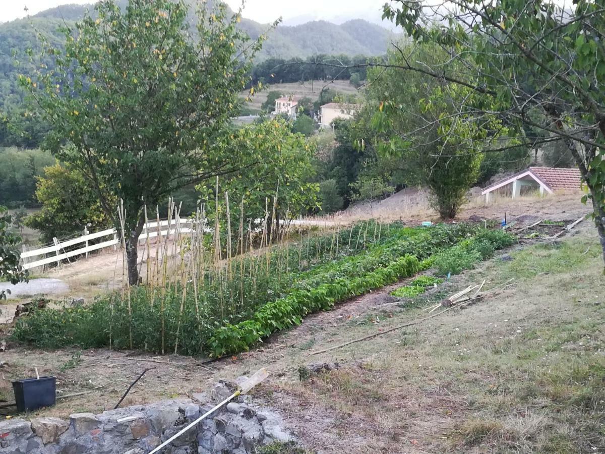 Agriturismo Dei Legi San Pietro Vara Kültér fotó