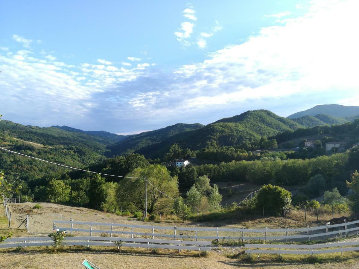 Agriturismo Dei Legi Villa San Pietro Vara Kültér fotó