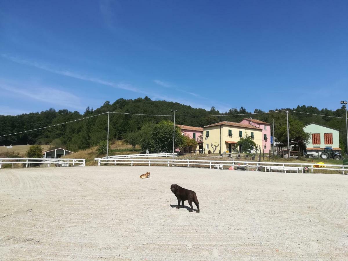 Agriturismo Dei Legi San Pietro Vara Kültér fotó